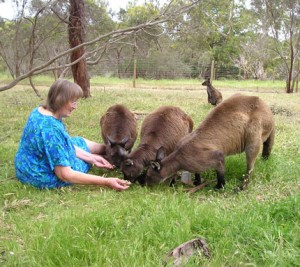 Lorraine-Kangas